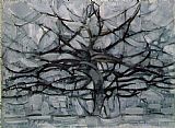 Gray Tree